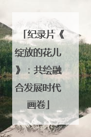 纪录片《绽放的花儿》：共绘融合发展时代画卷
