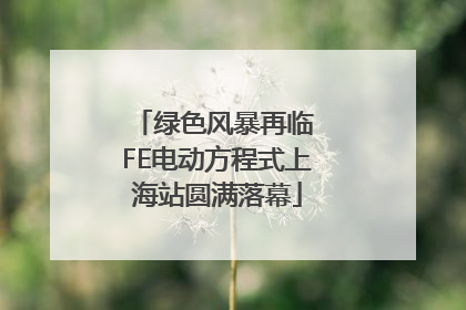 绿色风暴再临 FE电动方程式上海站圆满落幕