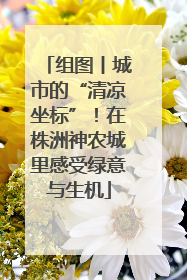 组图丨城市的“清凉坐标”！在株洲神农城里感受绿意与生机