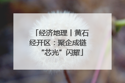 经济地理丨黄石经开区：聚企成链“芯光”闪耀