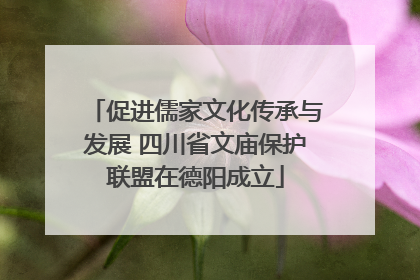 促进儒家文化传承与发展 四川省文庙保护联盟在德阳成立
