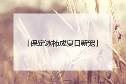 保定冰柿成夏日新宠