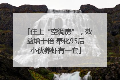 住上“空调房”，效益增十倍 奉化95后小伙养虾有一套