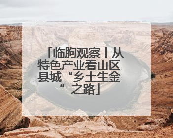 临朐观察丨从特色产业看山区县城“乡土生金”之路
