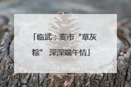 临武：麦市“草灰粽” 深深端午情