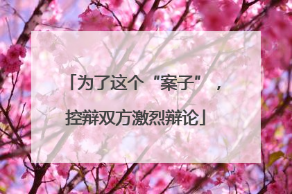 为了这个“案子”，控辩双方激烈辩论
