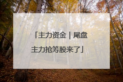 主力资金｜尾盘主力抢筹股来了