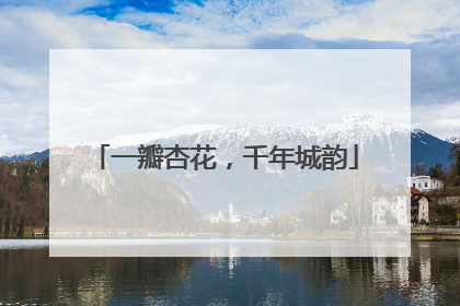 一瓣杏花，千年城韵