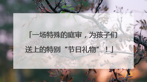 一场特殊的庭审，为孩子们送上的特别“节日礼物”！