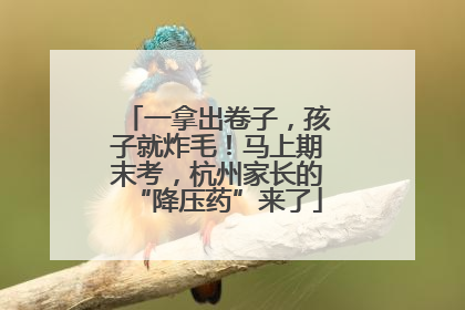 一拿出卷子，孩子就炸毛！马上期末考，杭州家长的“降压药”来了
