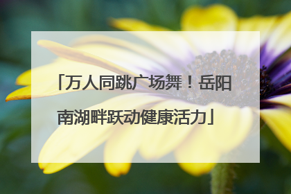 万人同跳广场舞！岳阳南湖畔跃动健康活力