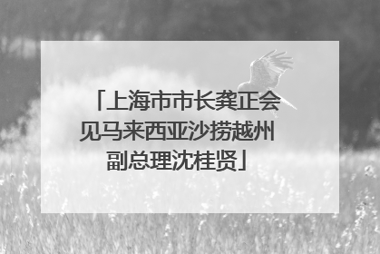 上海市市长龚正会见马来西亚沙捞越州副总理沈桂贤
