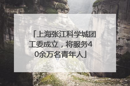 上海张江科学城团工委成立，将服务40余万名青年人