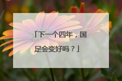 下一个四年，国足会变好吗？