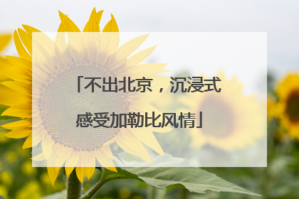 不出北京，沉浸式感受加勒比风情