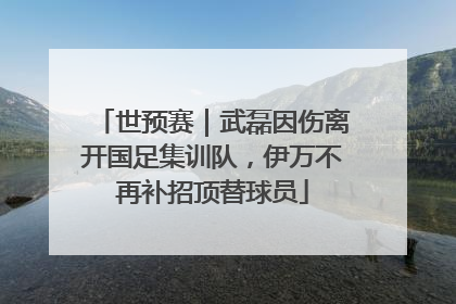 世预赛｜武磊因伤离开国足集训队，伊万不再补招顶替球员