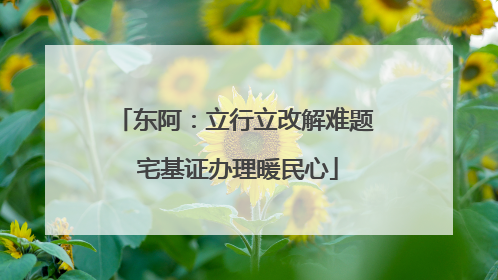 东阿：立行立改解难题 宅基证办理暖民心