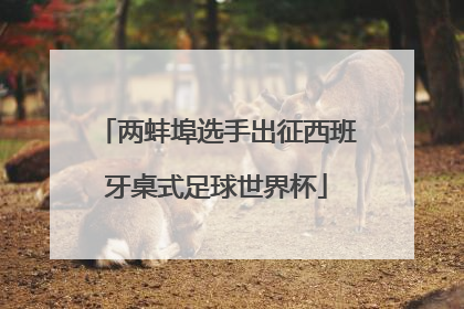 两蚌埠选手出征西班牙桌式足球世界杯
