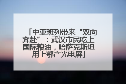 中亚班列带来“双向奔赴”：武汉市民吃上国际粮油，哈萨克斯坦用上鄂产光电屏