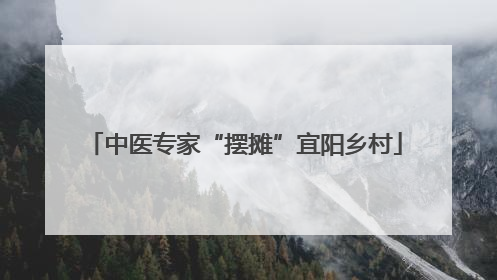 中医专家“摆摊”宜阳乡村
