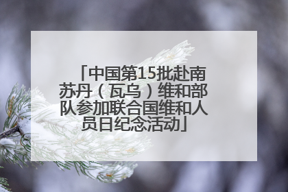 中国第15批赴南苏丹（瓦乌）维和部队参加联合国维和人员日纪念活动