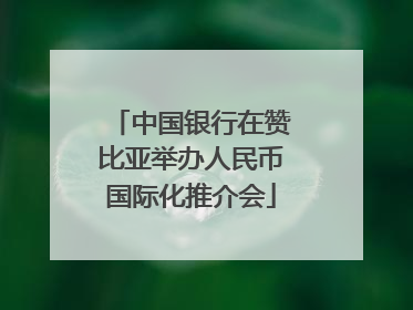 中国银行在赞比亚举办人民币国际化推介会