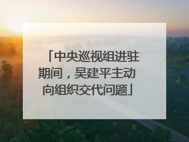 中央巡视组进驻期间，吴建平主动向组织交代问题