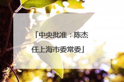 中央批准：陈杰任上海市委常委