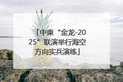 中柬“金龙-2025”联演举行海空方向实兵演练