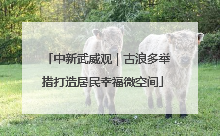 中新武威观｜古浪多举措打造居民幸福微空间