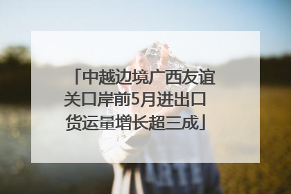 中越边境广西友谊关口岸前5月进出口货运量增长超三成