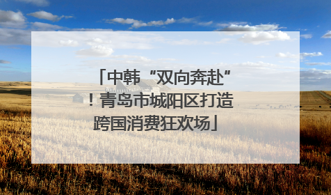 中韩“双向奔赴”！青岛市城阳区打造跨国消费狂欢场