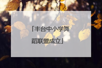 丰台中小学舞蹈联盟成立
