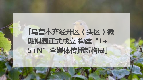 乌鲁木齐经开区（头区）微融媒圈正式成立 构建“1+5+N”全媒体传播新格局