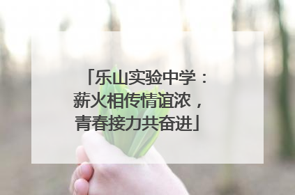 乐山实验中学：薪火相传情谊浓，青春接力共奋进