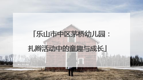 乐山市中区茅桥幼儿园：扎辫活动中的童趣与成长