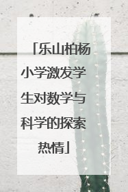 乐山柏杨小学激发学生对数学与科学的探索热情