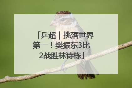乒超｜挑落世界第一！樊振东3比2战胜林诗栋