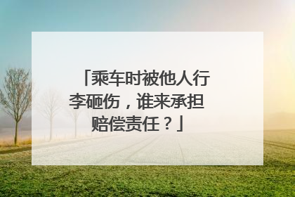 乘车时被他人行李砸伤，谁来承担赔偿责任？