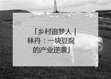 乡村追梦人｜林丹：一块豆腐的产业逆袭