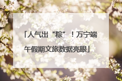 人气出“粽”！万宁端午假期文旅数据亮眼