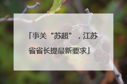 事关“苏超”，江苏省省长提最新要求