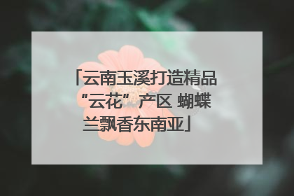 云南玉溪打造精品“云花”产区 蝴蝶兰飘香东南亚