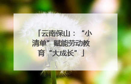 云南保山：“小清单”赋能劳动教育“大成长”