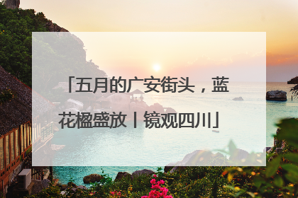 五月的广安街头，蓝花楹盛放丨镜观四川