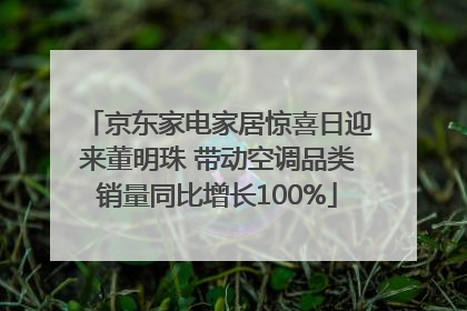 京东家电家居惊喜日迎来董明珠 带动空调品类销量同比增长100%