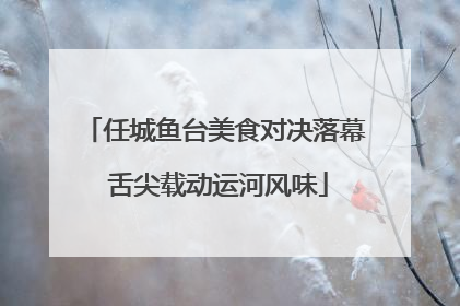 任城鱼台美食对决落幕 舌尖载动运河风味