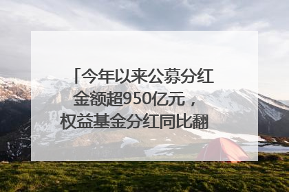 今年以来公募分红金额超950亿元，权益基金分红同比翻倍｜招财猫