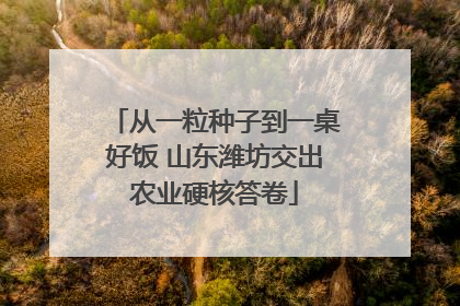 从一粒种子到一桌好饭 山东潍坊交出农业硬核答卷
