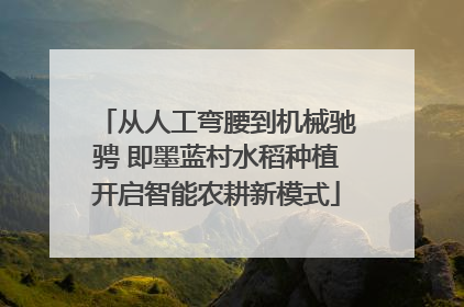 从人工弯腰到机械驰骋 即墨蓝村水稻种植开启智能农耕新模式